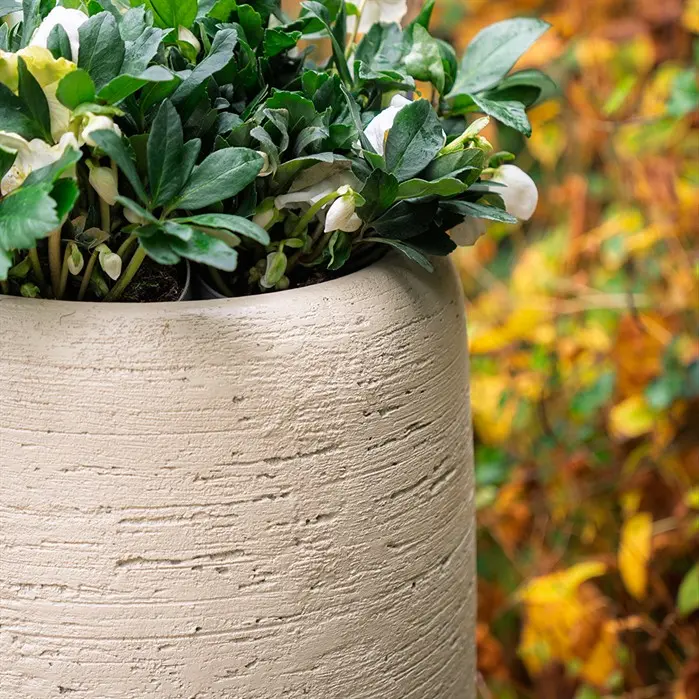 Blumentopf mit Beton Optik