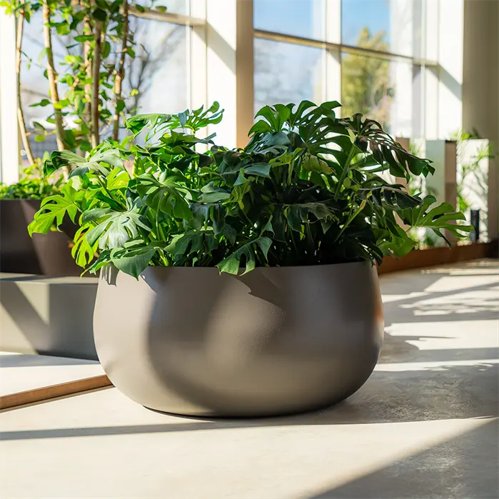 Fiberglas Blumentopf mit Pflanzen im Gartenbereich